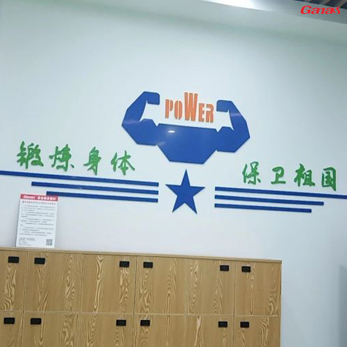 广东南部空军站区汽车连队健身房案列 泡芙视频官网下载免费直销单位健身器材