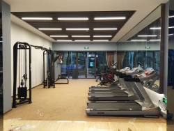湖南德州陵城区碧桂园健身器材 泡芙视频官网下载免费地产健身房案例