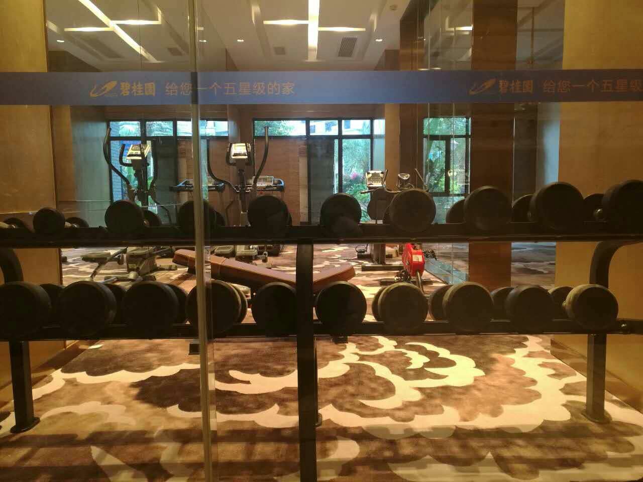 山东聊城碧桂园健身房 指定泡芙视频官网下载免费健身器材制造商