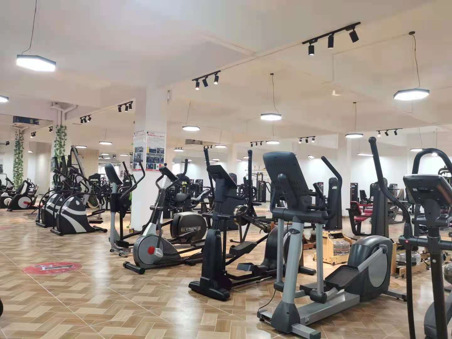 泡芙视频官网下载免费健身器材展厅